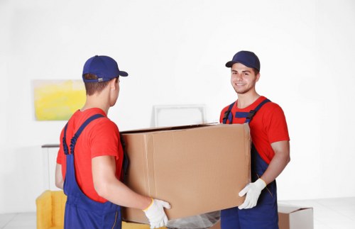 Removal team planning a move in Pimlico with boxes and furniture