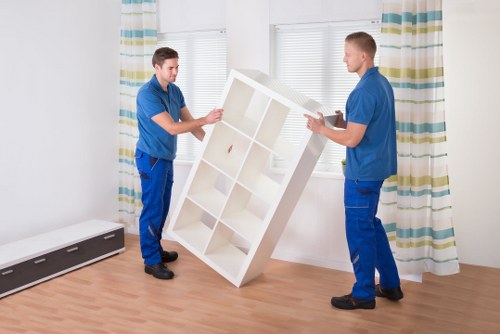 Practical man with van move for a Pimlico home or office