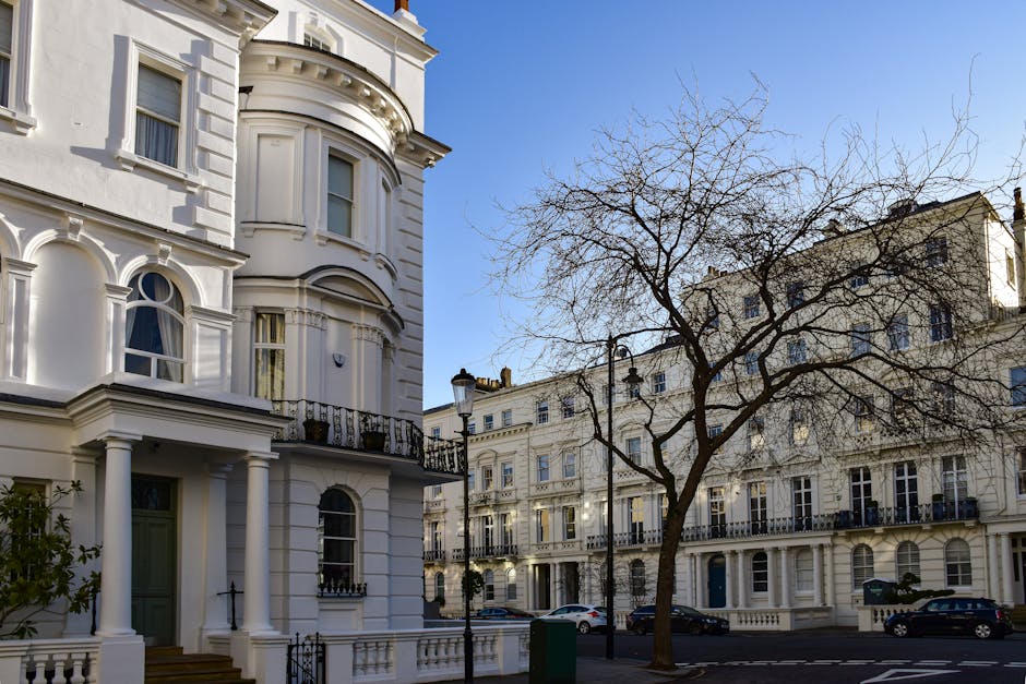 Photograph of a residential street in Pimlico with Victorian-style white terraced houses featuring ornate facades, bay windows, and decorative moldings. In the foreground, a large, leafless tree with sprawling branches stands between the buildings, casting shadows on the pavement. The street is lined with parked cars and traditional black street lamps. Part of a white building with a curved bay window and a small black iron balcony is visible on the left side of the image. The scene is captured during daylight with a clear blue sky, showcasing the elegant architecture typical of home relocation and furniture transport processes in the SW1 area, as handled by Removal Companies Pimlico.