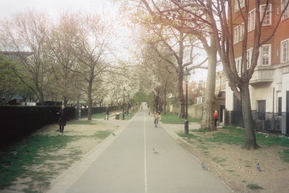 A quiet residential street in Pimlico with a row of white Victorian terraced houses featuring bay windows and brick chimneys, lined with a paved sidewalk and black metal fencing. The street is empty except for a person walking away in the distance near the curb. Overhead, a cloudy sky casts diffuse light across the scene. Visible on the right side is the edge of a modern white building with large windows. In the background, a construction crane is seen behind the homes, indicating ongoing development. The scene captures a typical day during a home relocation process, with no moving activity directly visible but implying a tranquil environment suitable for furniture transport and packing during removals, as handled by Removal Companies Pimlico.